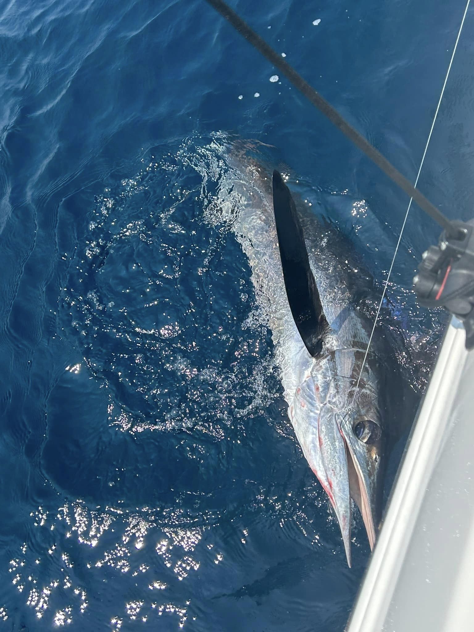 White Marlin Open Event